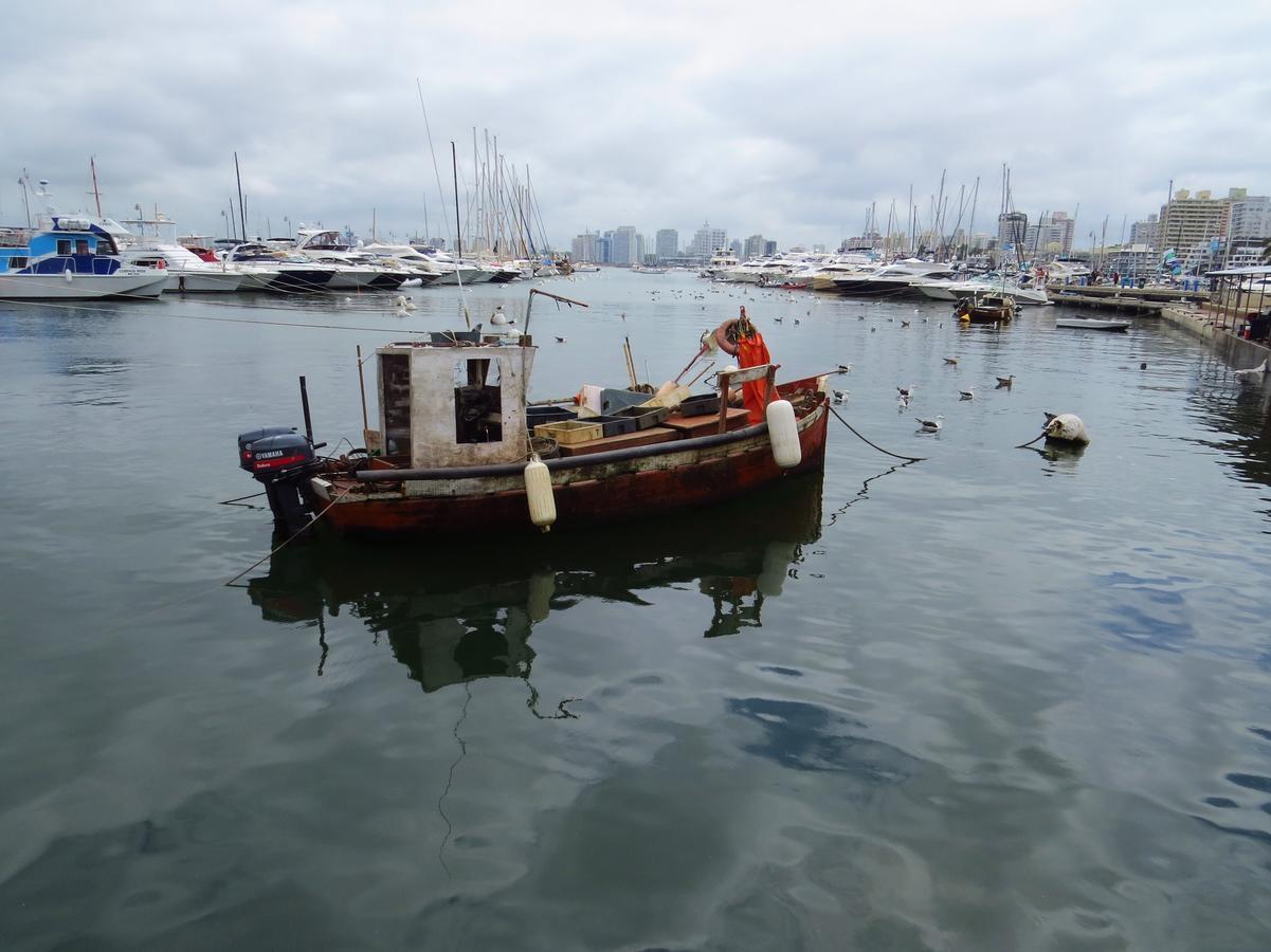Los Sargos Punta del Este Extérieur photo